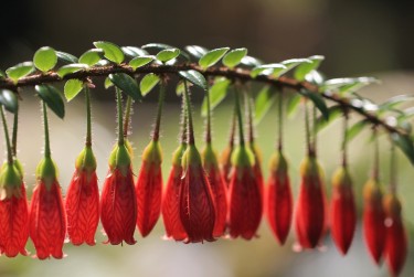 东莞沙田私人快速借钱网，轻松解决资金难题