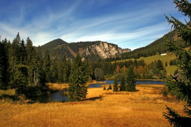 东莞沙田民间私贷攻略：揭秘低成本借贷的秘密