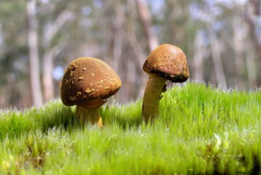 东莞沙田私人老板放款：轻松融资的秘密通道